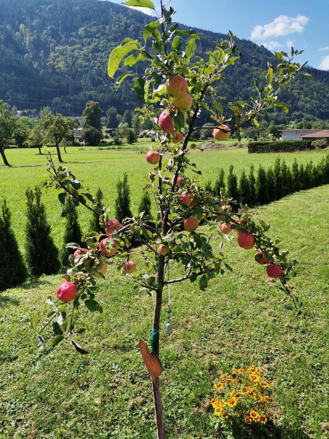 Apartment - Ferienwohnung 1 Treffen Am Ossiachersee Exteriör bild